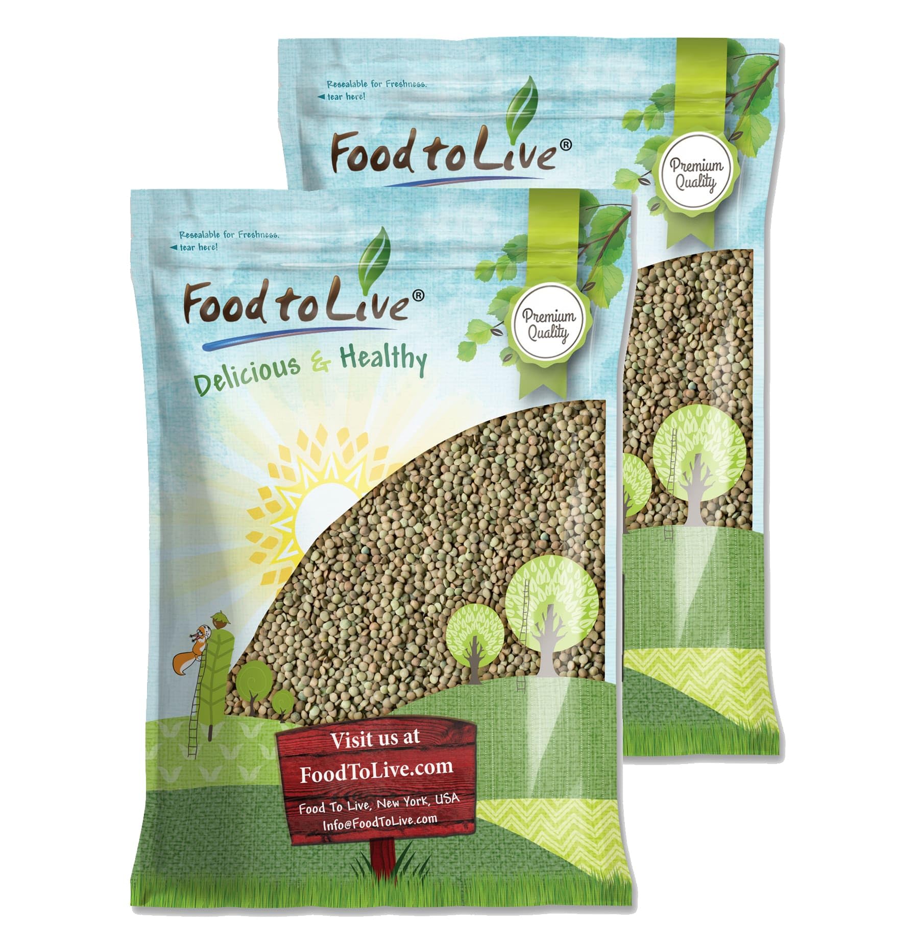 Food to Live - Organic Whole Green Lentils, 25 lbs | Raw Dried Lentils for Sprouting | Kosher & Vegan Certified | High in Fiber & Protein | No Soaking Required | Perfect for Soups, Salads & Healthy Meal Prep
