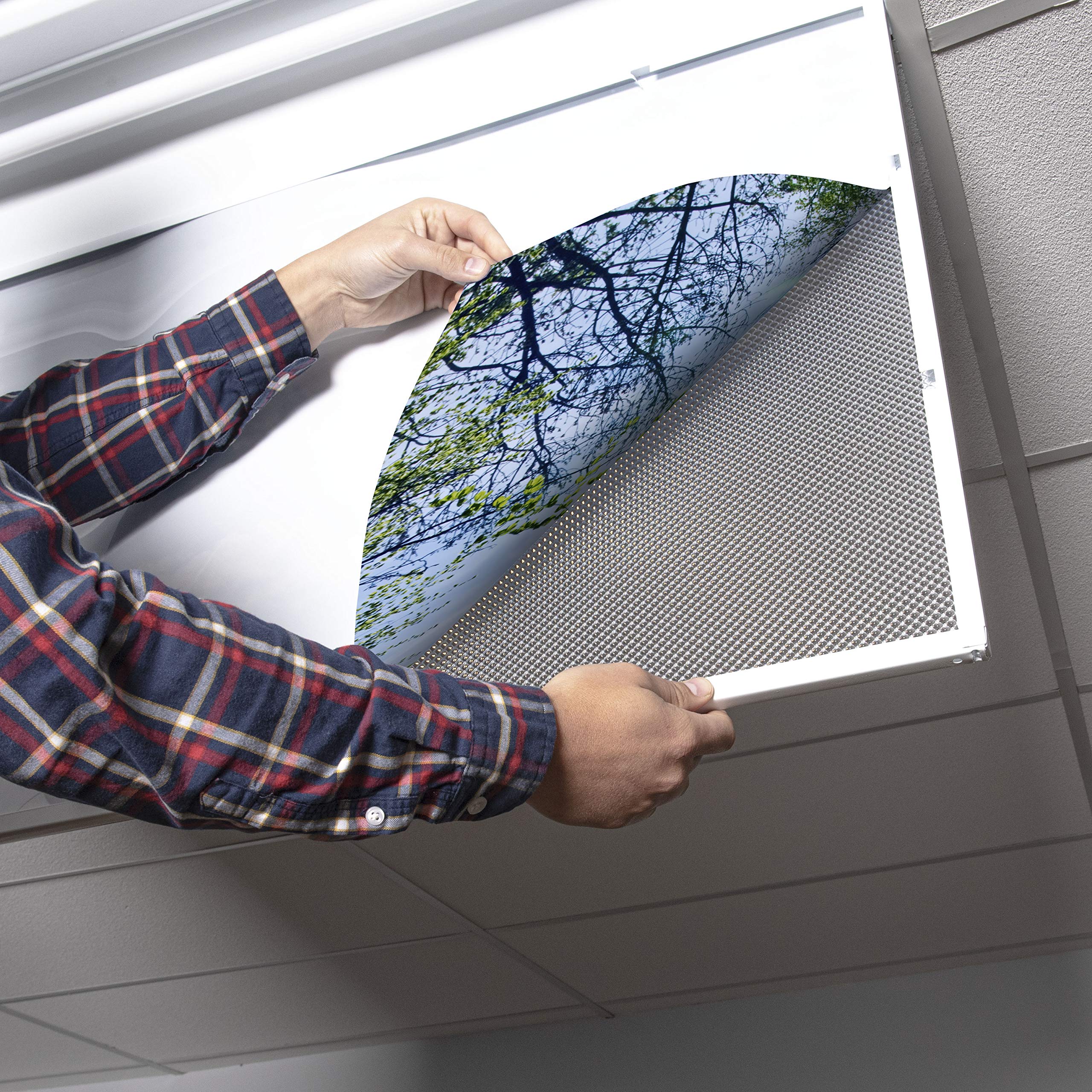 OCTO LIGHTS Fluorescent Light Covers for Classroom & Office - Reduce Eye Strain & Headaches by Eliminating Harsh Glare - Tree Design Decor (4-Pack) - Perfect for Schools, Offices, and Workspaces