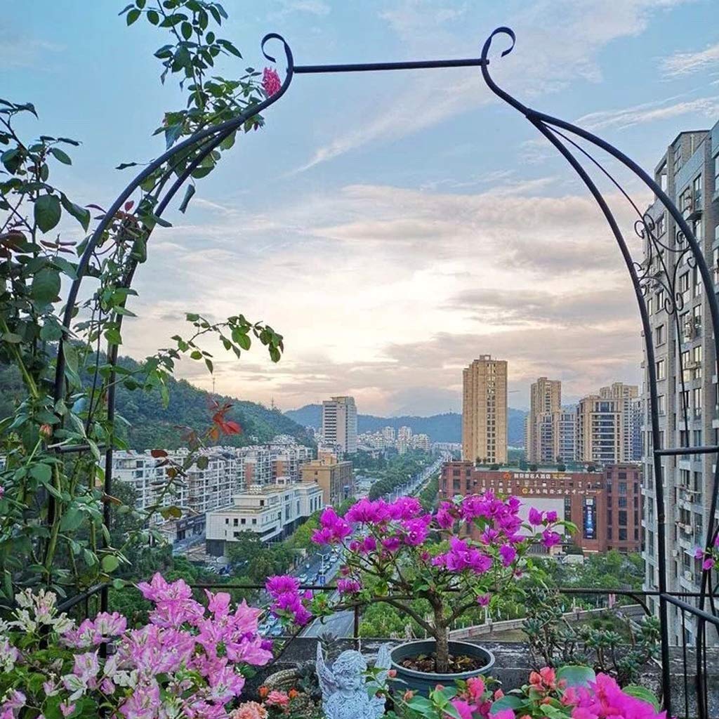Arbors ZYY Metal Garden Arch - 80.7in High x 31.5/47.2in Wide - Sturdy Outdoor Trellis for Climbing Roses, Vines & Plants - Perfect for Backyard, Lawn & Garden Decor (Black)