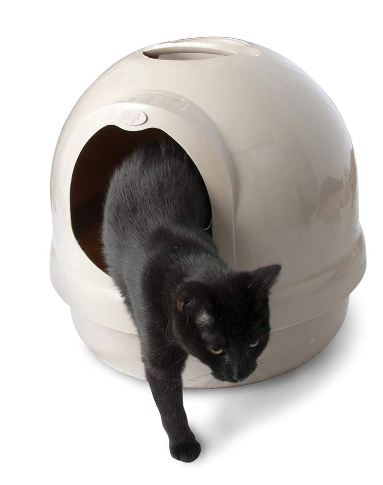 Petmate Booda Dome Cat Litter Box - White, Enclosed Design for Odor Control & Privacy, Perfect for Small Spaces & Multi-Cat Homes