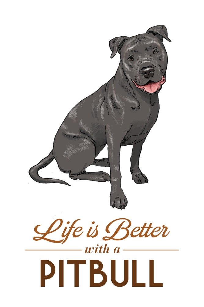 Pitbull Dog Wall Art Poster - Gray Pitbull with 'Life is Better' Quote - 12x18 Inches - Home Decor for Living Room, Bedroom & Office