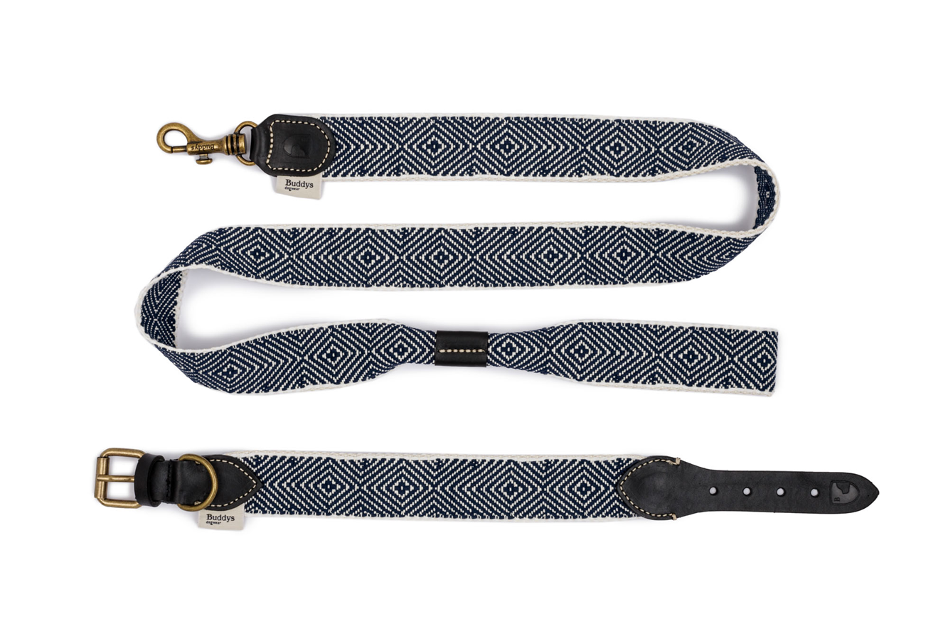 Premium Dog Leash for Small to Medium Dogs - Durable & Adjustable Pet Lead with Reflective Stitching - Perfect for Night Walks, Outdoor Adventures, and Capri-Themed Parties