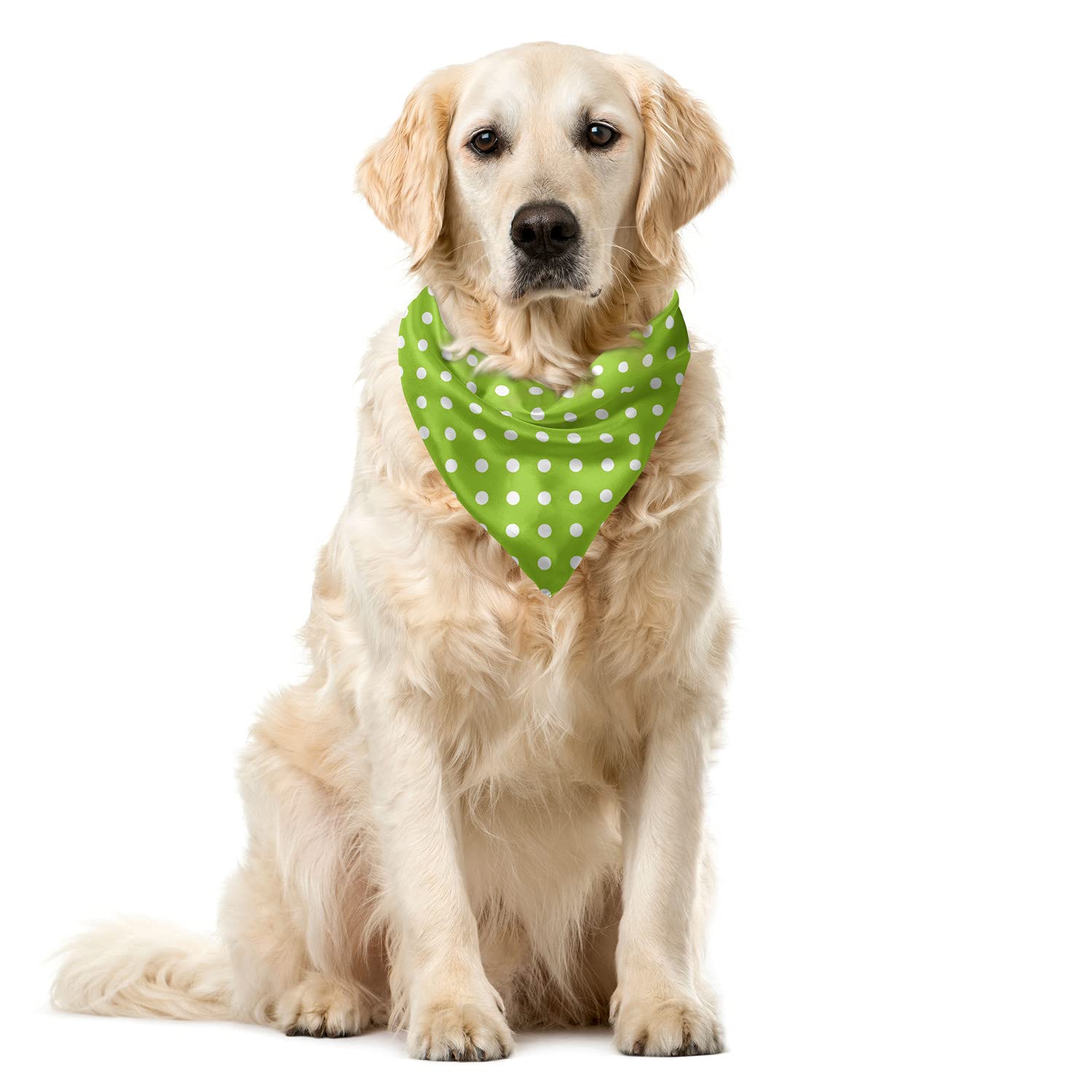 Lunarable Polka Dots Dog Bandana - Vintage Style Pet Bandana 22