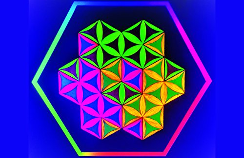 Shapes Within