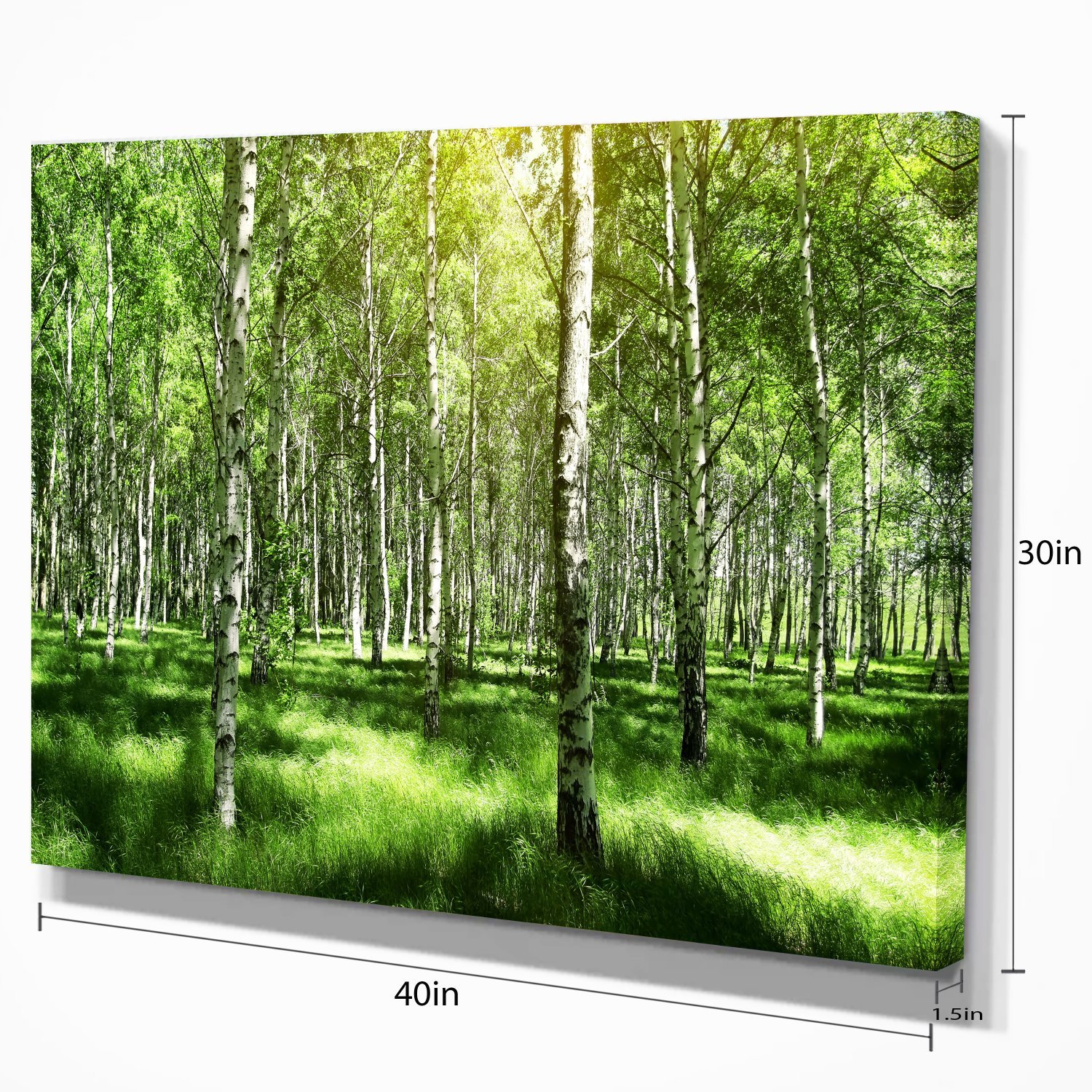 Stunning Birch Grove Landscape Art Print Canvas - Nature Wall Decor for Living Room, Bedroom & Office
