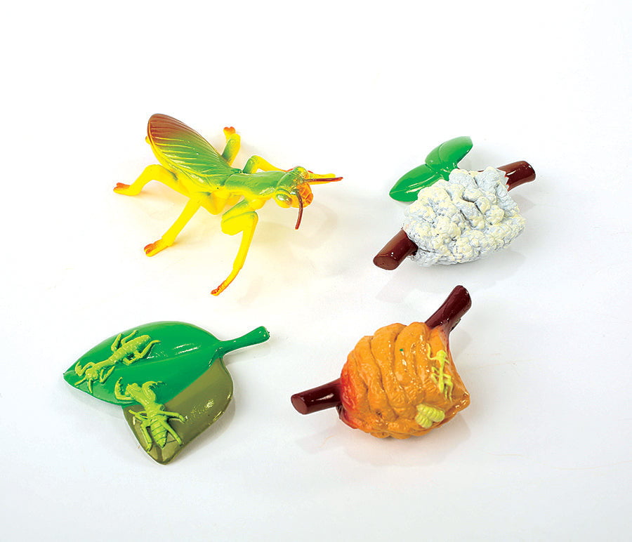 Insect Lore Praying Mantis Life Cycle Figurines - 4 Piece Educational Toy Set for Kids | Science Classroom & Homeschool Learning