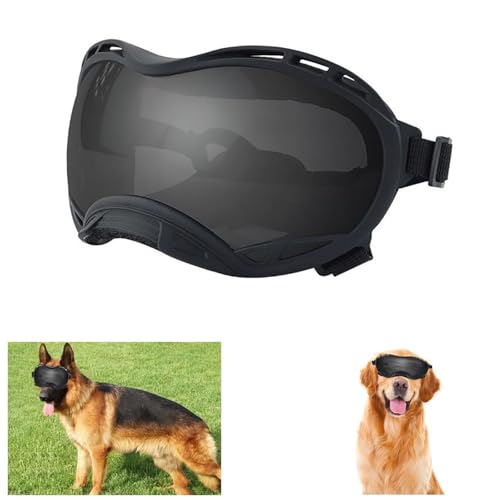 Black Frame & Gray Lens/Small