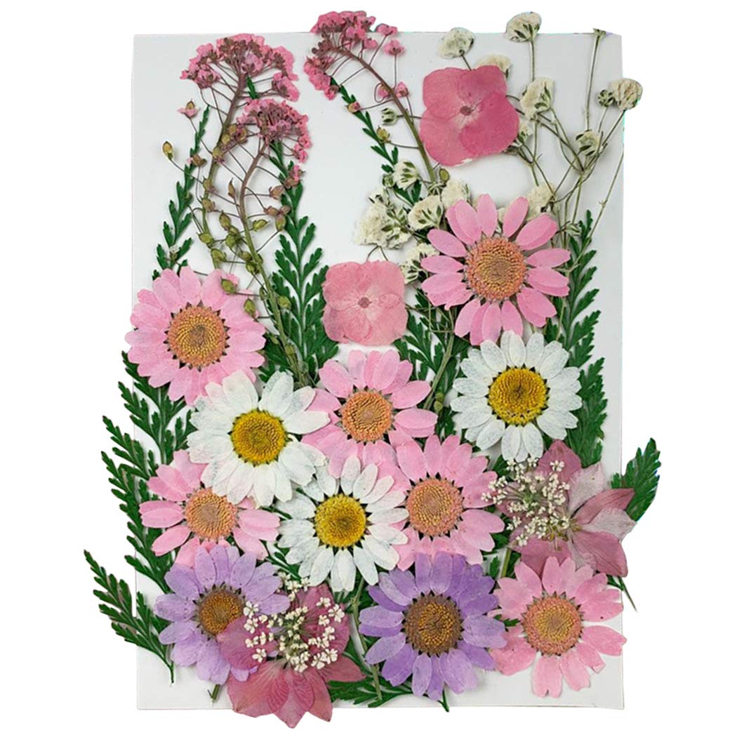 SOWUNO 1 Pack Dried Pressed Flowers for DIY Nail Art, Phone Case Decoration, Handmade Crafts - Assorted Colors - Perfect for Scrapbooking, Resin Jewelry & Home Decor Projects