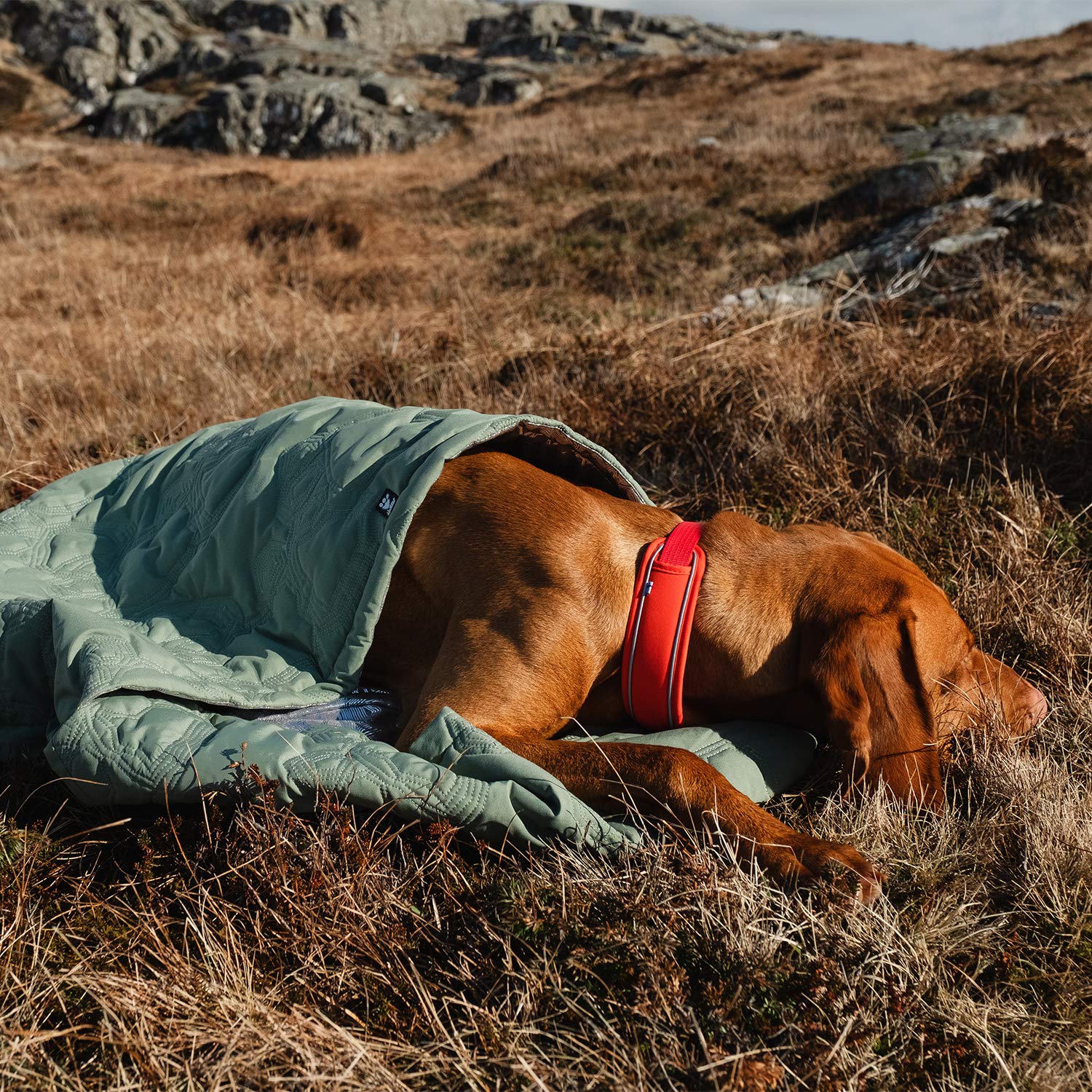 Hurtta Outback Dreamer ECO Dog Sleeping Bag - Lightweight & Waterproof for Camping, Hiking, Travel - Small Size in Hedge Green - Perfect for Outdoor Adventures with Your Pet