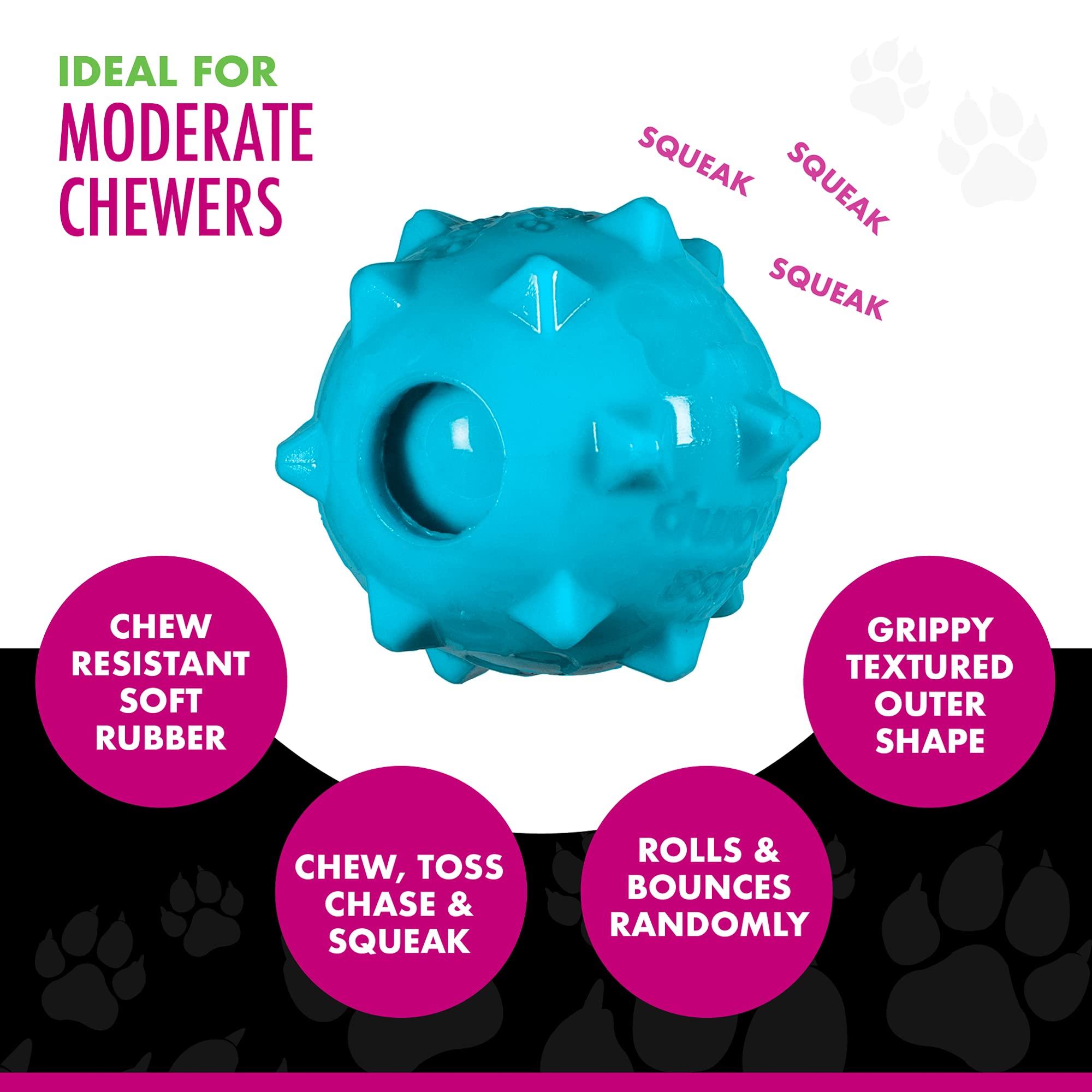 Chase 'n Chomp Squeaker Ball Dog Toy - 2.5