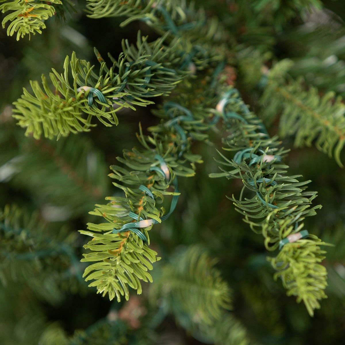 5' Great Northern Spruce Christmas Tree with 500 Micro LED Lights - Perfect for Living Room, Office & Holiday Decorations