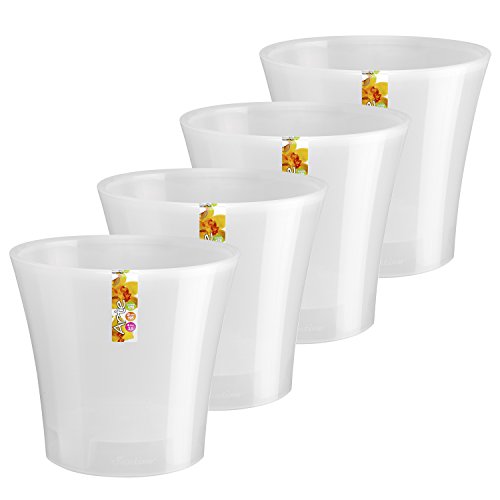 Transparent - Set of 4