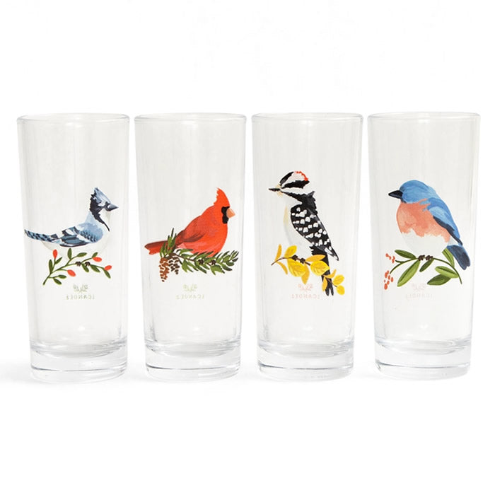 Premium Wild Birds Tall Juice Glasses Set - 16oz Elegant Drinking Glasses for Fresh Juice, Iced Tea, Cocktails - Perfect for Home, Restaurants, and Outdoor Gatherings