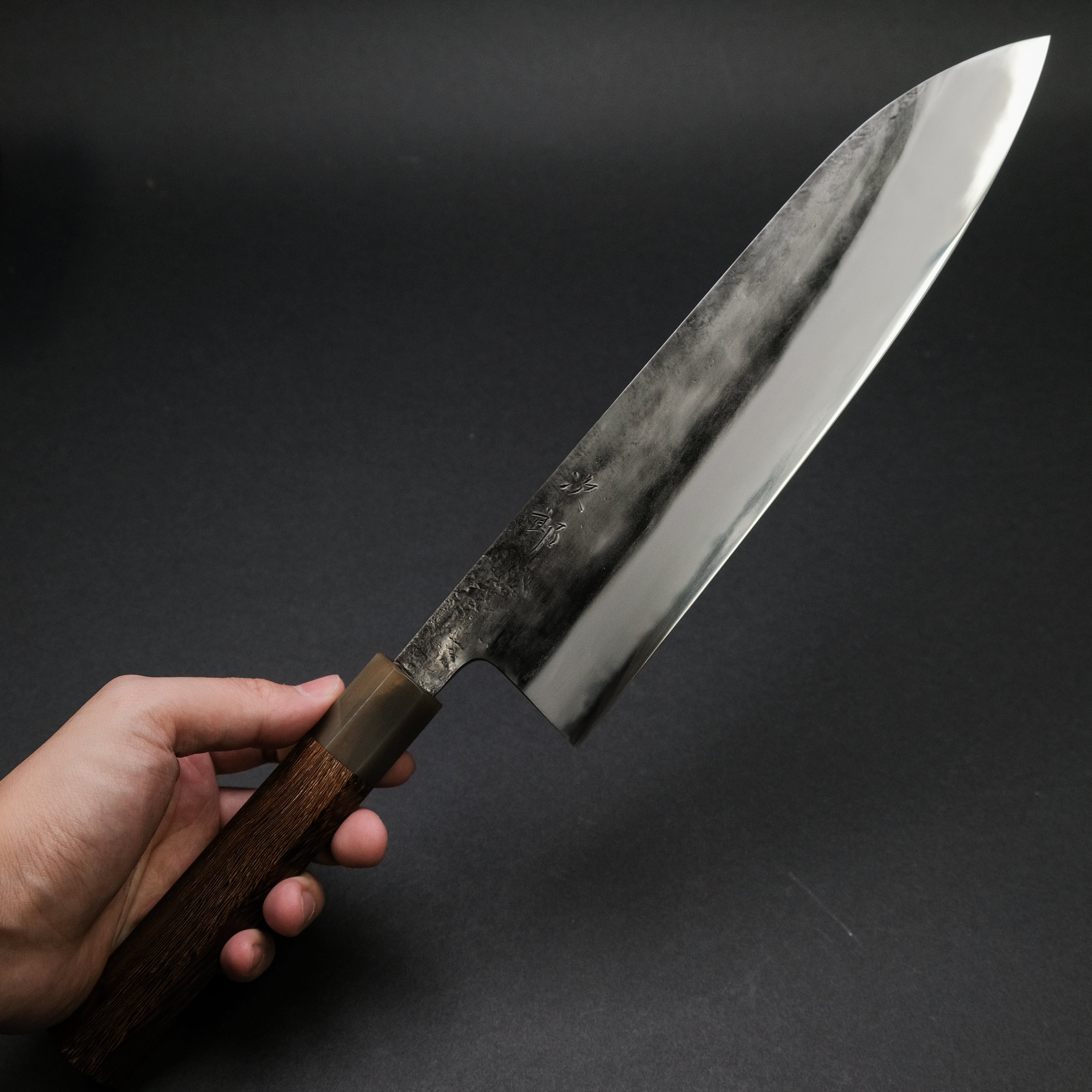 Premium Jiro Tsuchime Wa Gyuto 255mm Japanese Chef Knife with Taihei Tagayasan Handle - Perfect for Sushi, Meat Cutting & Professional Kitchen Use