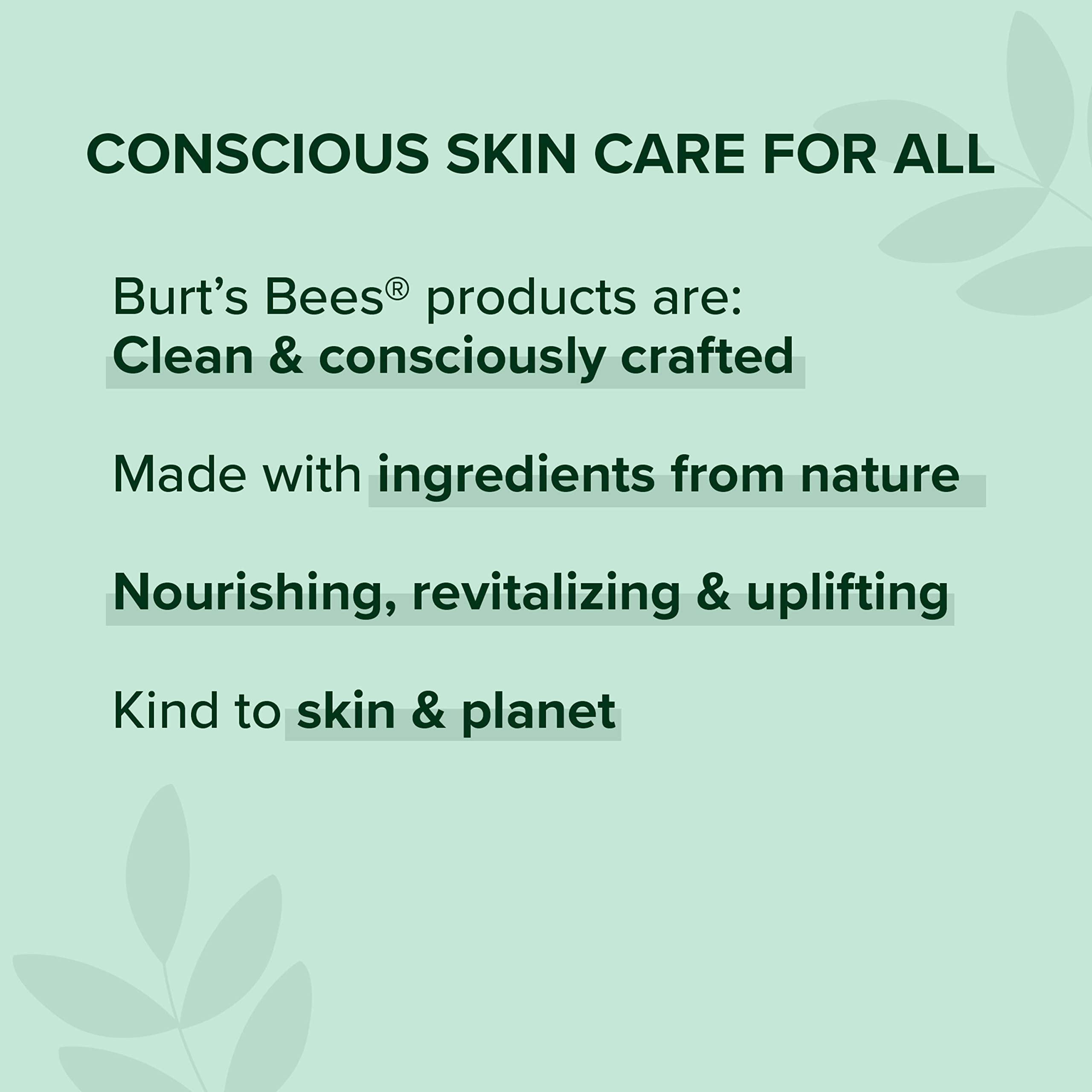 Burt's Bees 100% Natural Lip Gloss for Women - Hydrating Lip Shine with Sheer Color, Moisturizing & Nourishing (Whisper) - Perfect for Daily Wear, Date Night & Special Occasions