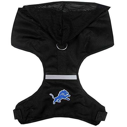 Detroit Lions