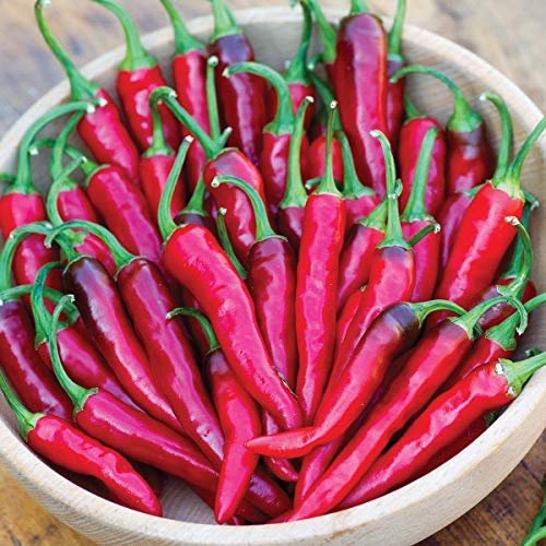 Dragon Cayenne