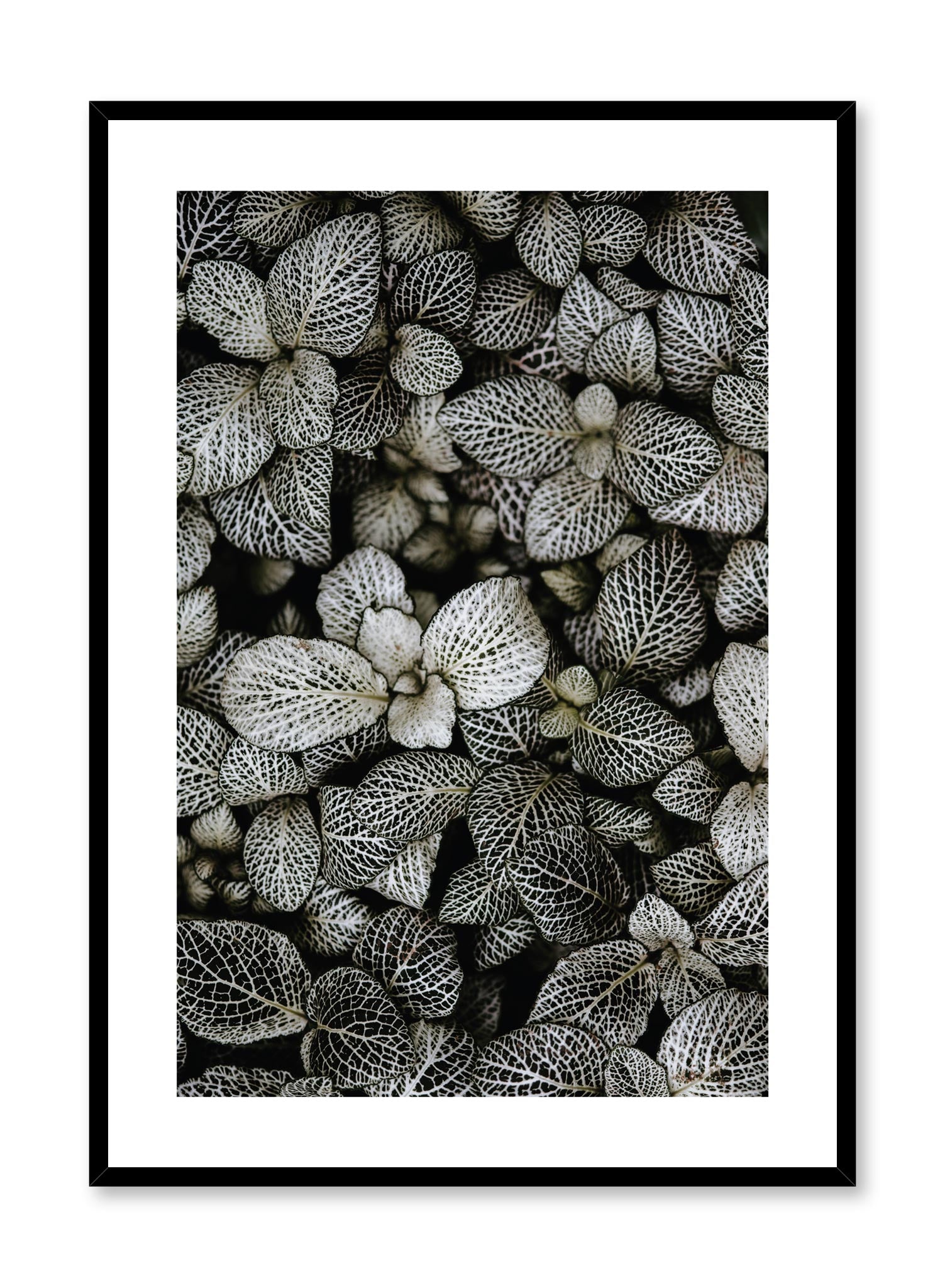 Vibrant Patterned Leaves Wall Art Poster - Tropical Botanical Decor for Living Room, Bedroom & Office