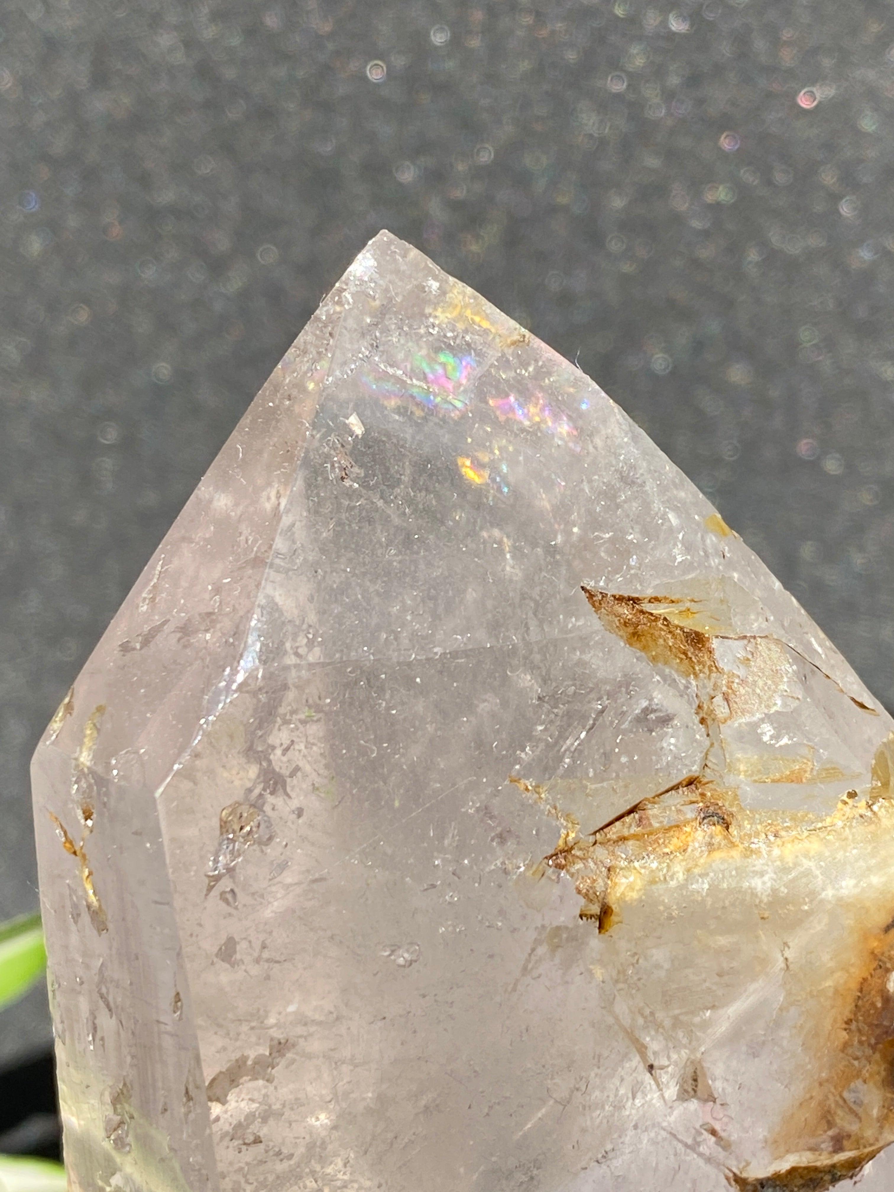Natural Clear Quartz Freeform Generator Stone - CR0976 for Energy Healing, Meditation & Home Decor