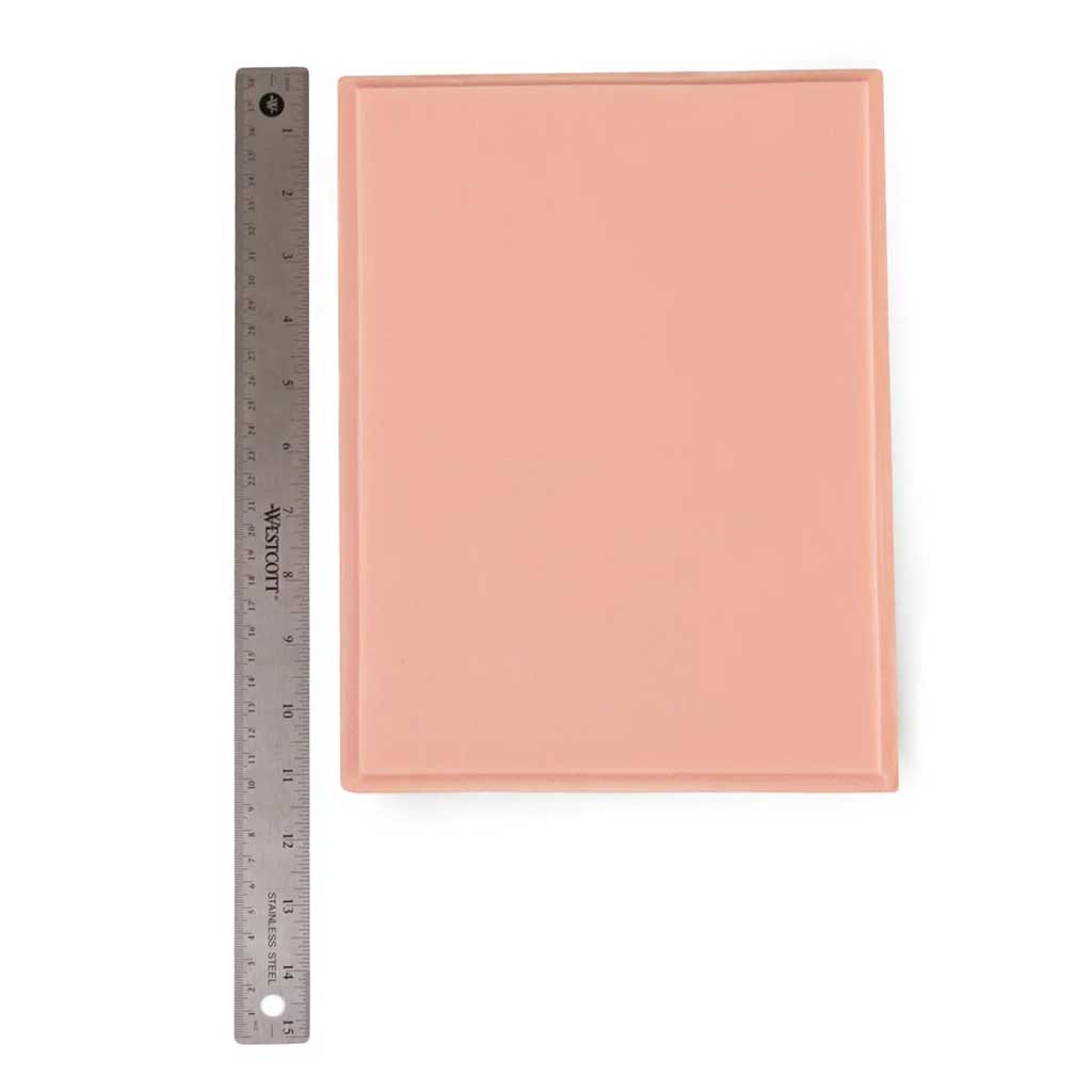 11 x 8.5 Inch Rectangle Plaque - Fitzpatrick Skin Tone 2 - Perfect for Medical Offices, Dermatology Clinics & Skin Care Professionals