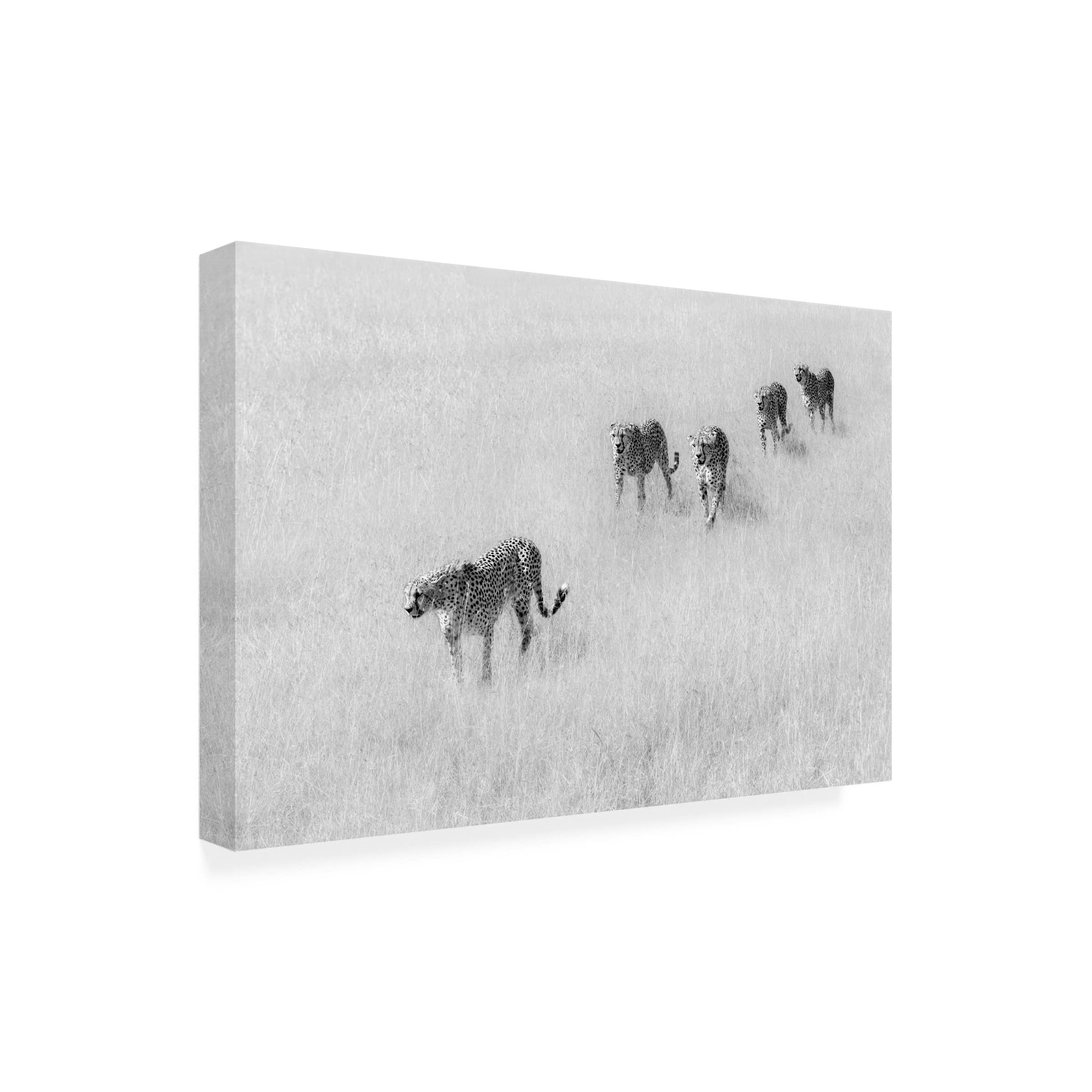 Jun Zuo 'Five Boys' Canvas Art Print - Modern Wall Decor for Living Room, Bedroom & Office - Trademark Fine Art Collection