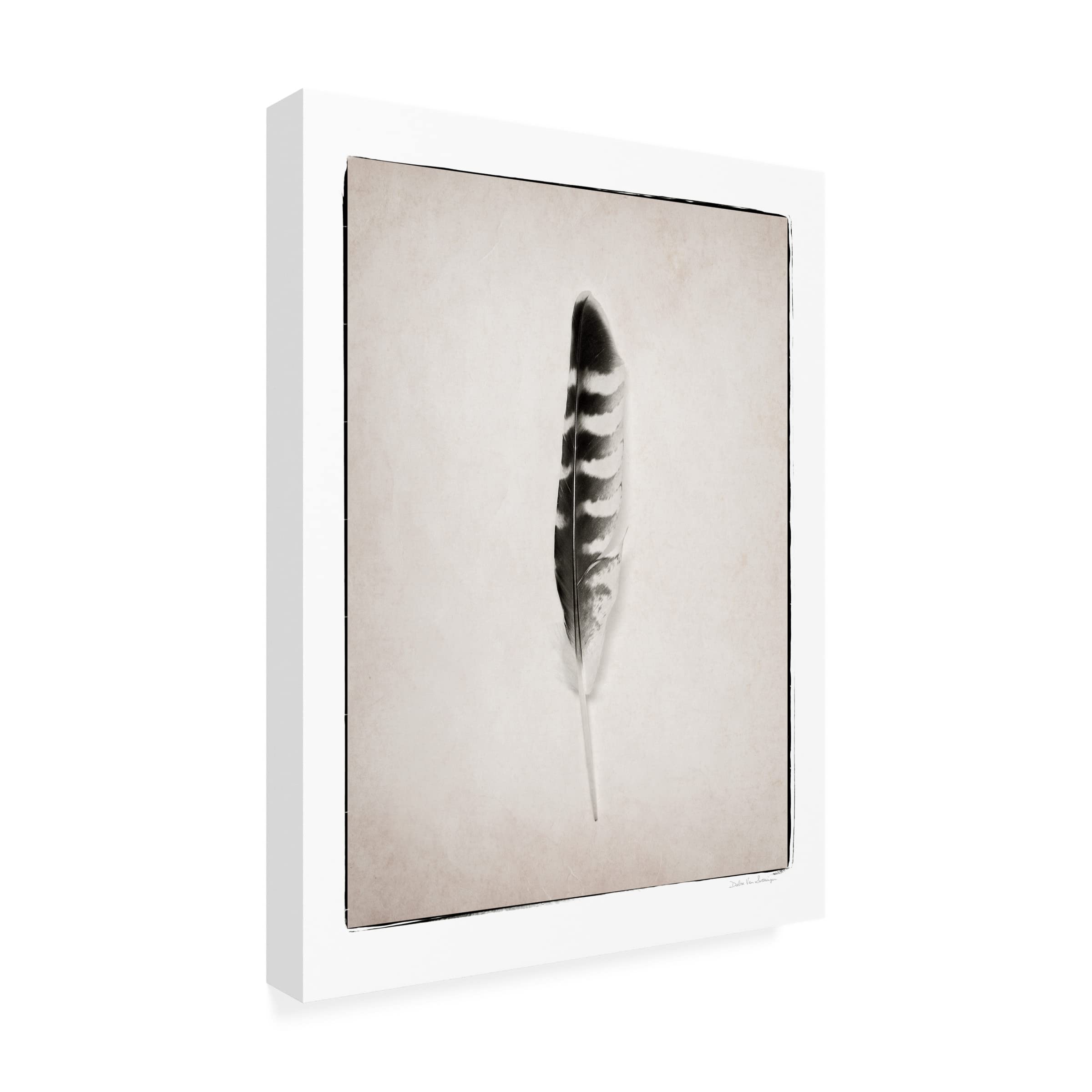 Trademark Fine Art 'Feather IV BW' Canvas Wall Art by Debra Van Swearingen - Black & White Feather Painting for Modern Home Decor, Office & Living Room Wall Decor