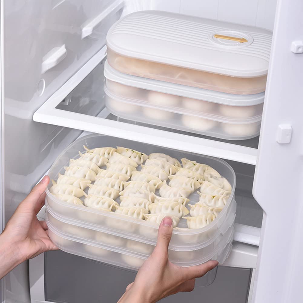 VALINK Food Grade Dumpling Storage Container - BPA Free Transparent Plastic Food Storage Box with Lid, Stackable Kitchen Organizer for Refrigerator & Freezer | Perfect for Meal Prep, Leftovers, Snacks & Party Platters