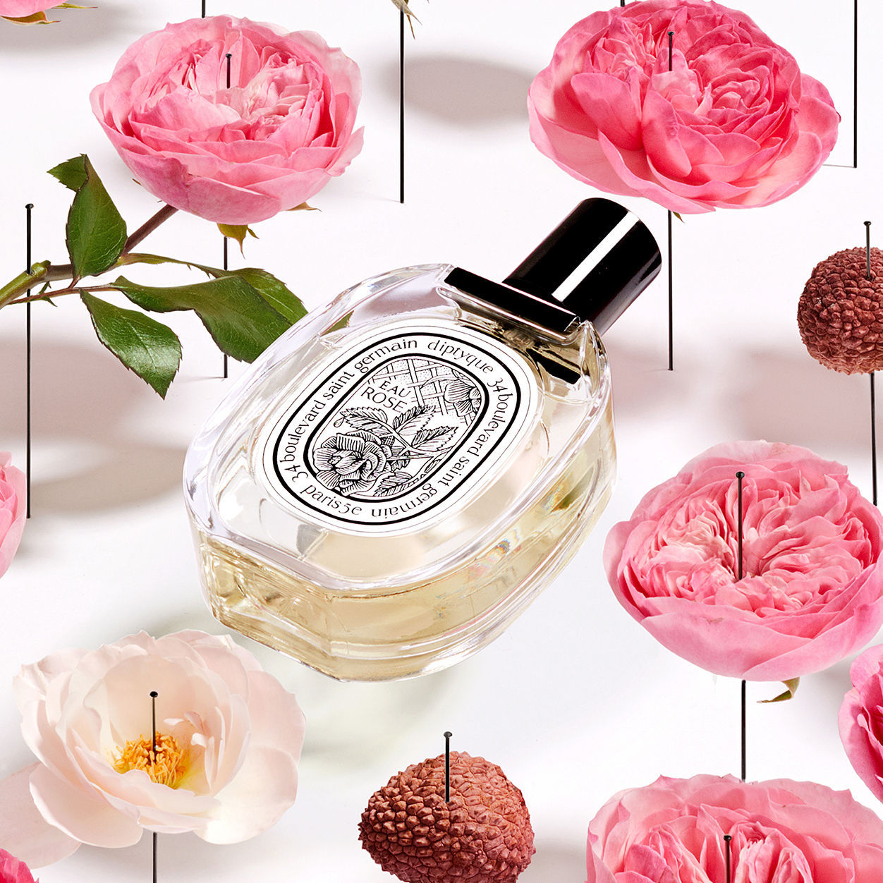 Eau Rose Eau de Toilette - Floral Perfume for Women | Light & Romantic Rose Scent | Perfect for Daily Wear, Date Nights & Special Occasions