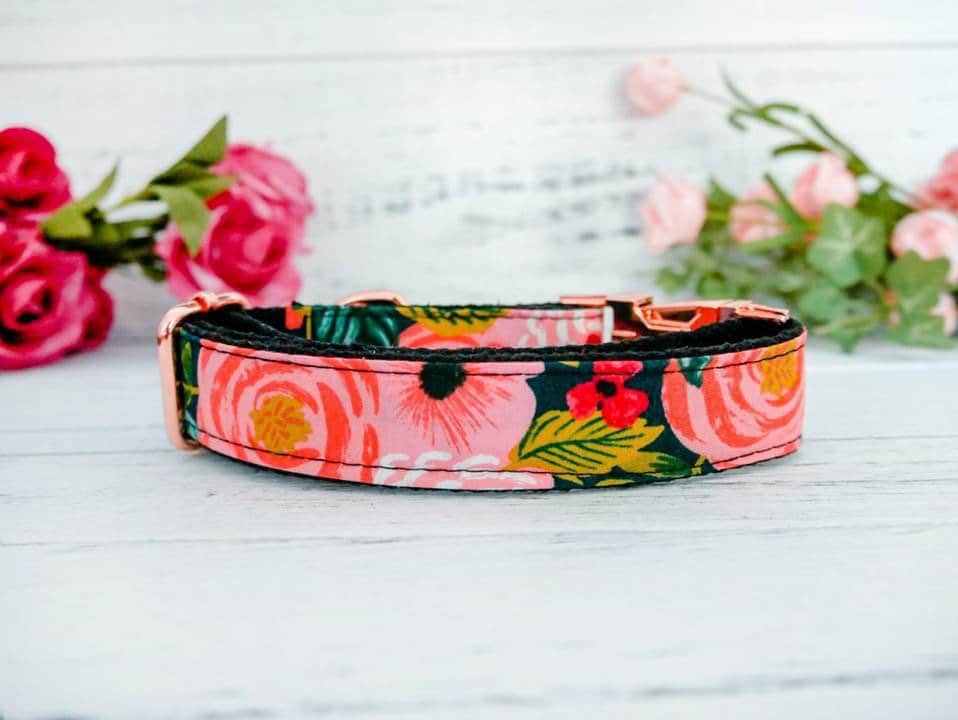 Rifle Paper Co Dog Collar with Floral Design - Juliet in Black | Stylish & Durable Pet Collar for Small & Medium Dogs | Perfect for Walks, Training & Everyday Wear
