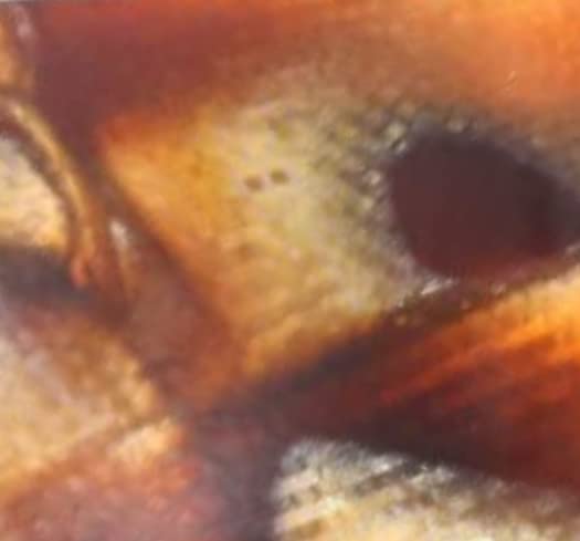 Caramel