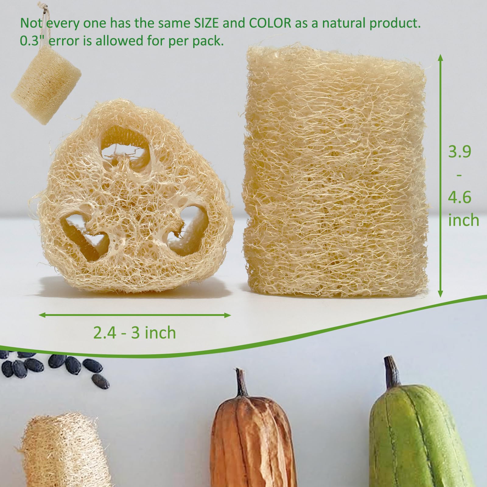 Organic Loofah Sponge Set - 6 Pack Natural Luffa Bath Sponges for Exfoliating Body Scrub, Shower & SPA Care | Gentle Skin Cleansing for Men & Women | Perfect for Face, Back & Full Body Exfoliation | Eco-Friendly Bath Accessories for Daily Skincare Routine
