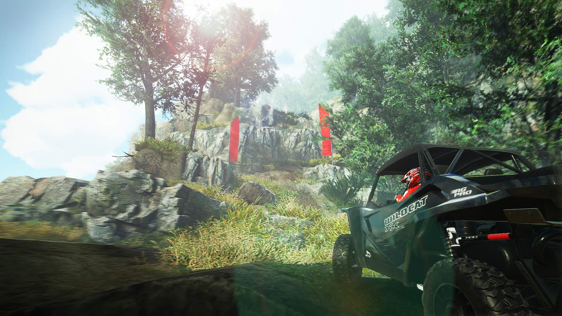 Overpass (NSW) - Nintendo Switch Game - Off-Road Racing & Simulation Adventure - Perfect for Racing Enthusiasts & Switch Gamers