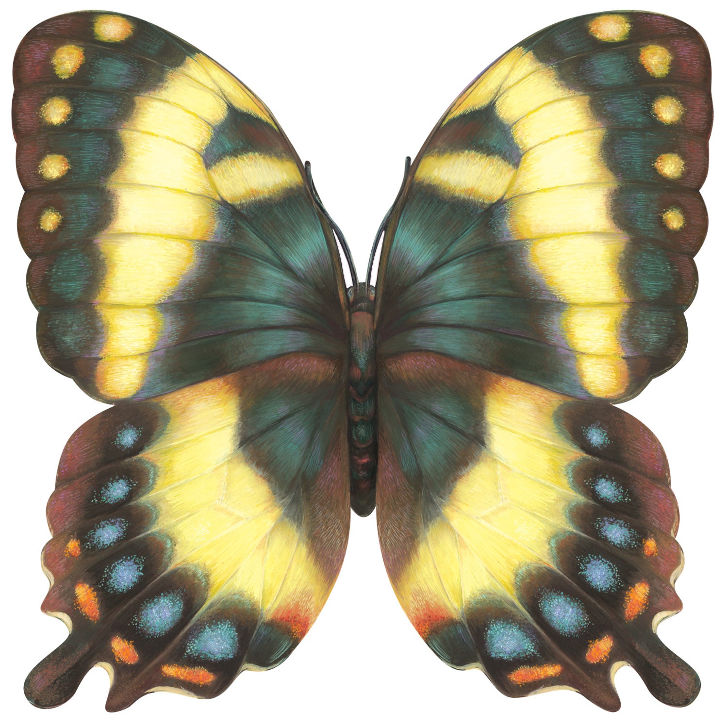 Elegant Die-Cut Butterfly Placemats for Dining Table Decor - Perfect for Spring Parties, Wedding Receptions & Home Decor