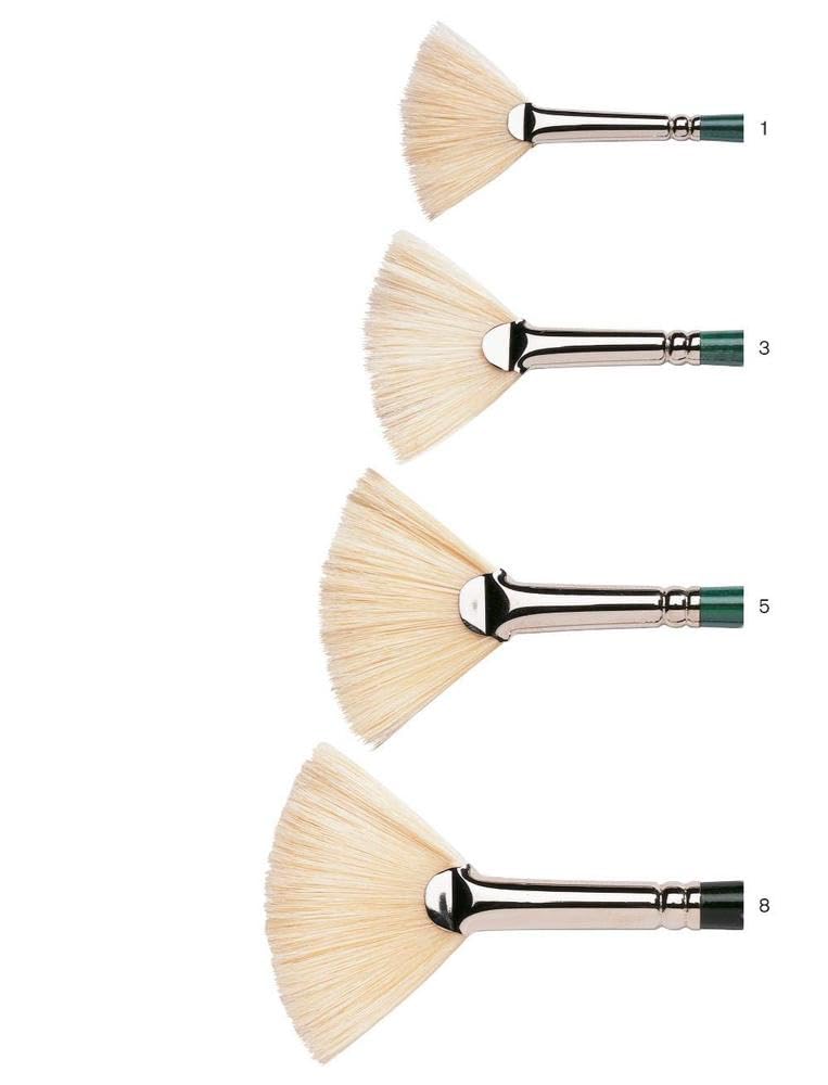 Winsor & Newton 5977708 Winton Hog Fan #8 Bristle Brush - Professional Oil & Acrylic Painting Brush for Artists - Perfect for Canvas, Wood & Textured Surfaces