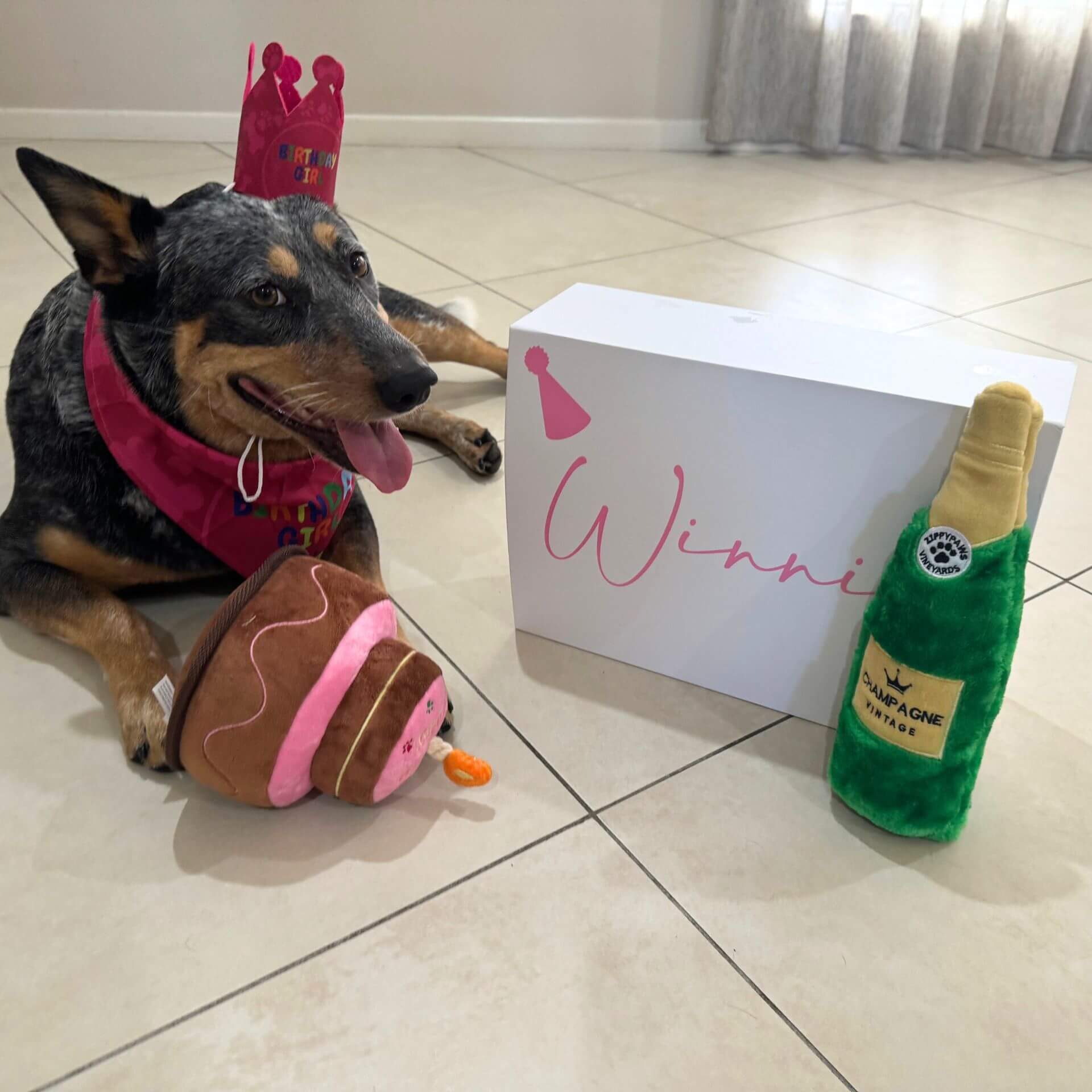 Pink Crown, Bandana & Banner Dog Birthday Party Decoration Set - Perfect for Pet Celebrations & Puppy Birthday Photos