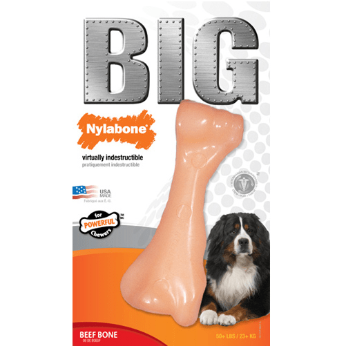 Nylabone Durachew Big Chew Beef Bone Original - Durable Dog Chew Toy for Aggressive Chewers, Promotes Dental Health - Perfect for Large Dogs, Puppy Teething & Long-Lasting Playtime