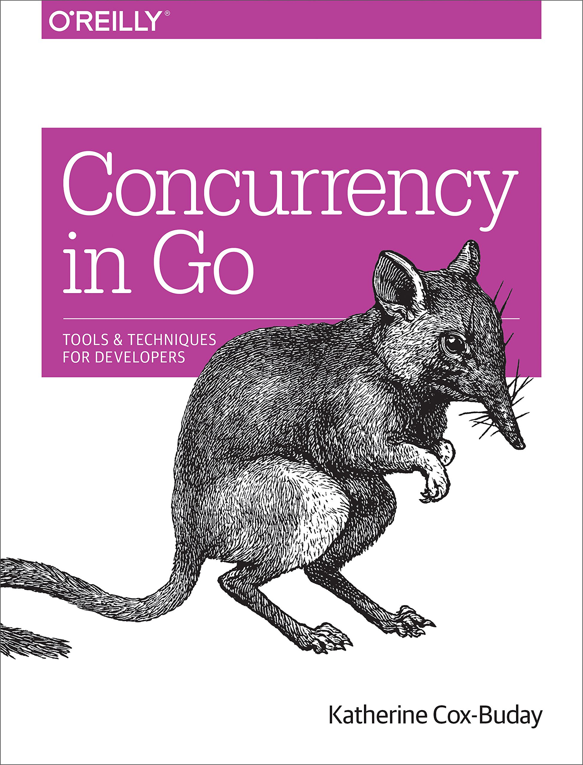 Concurrency in Go: Essential Tools and Techniques for Developers | Boost Performance in Web Apps, APIs & Distributed Systems