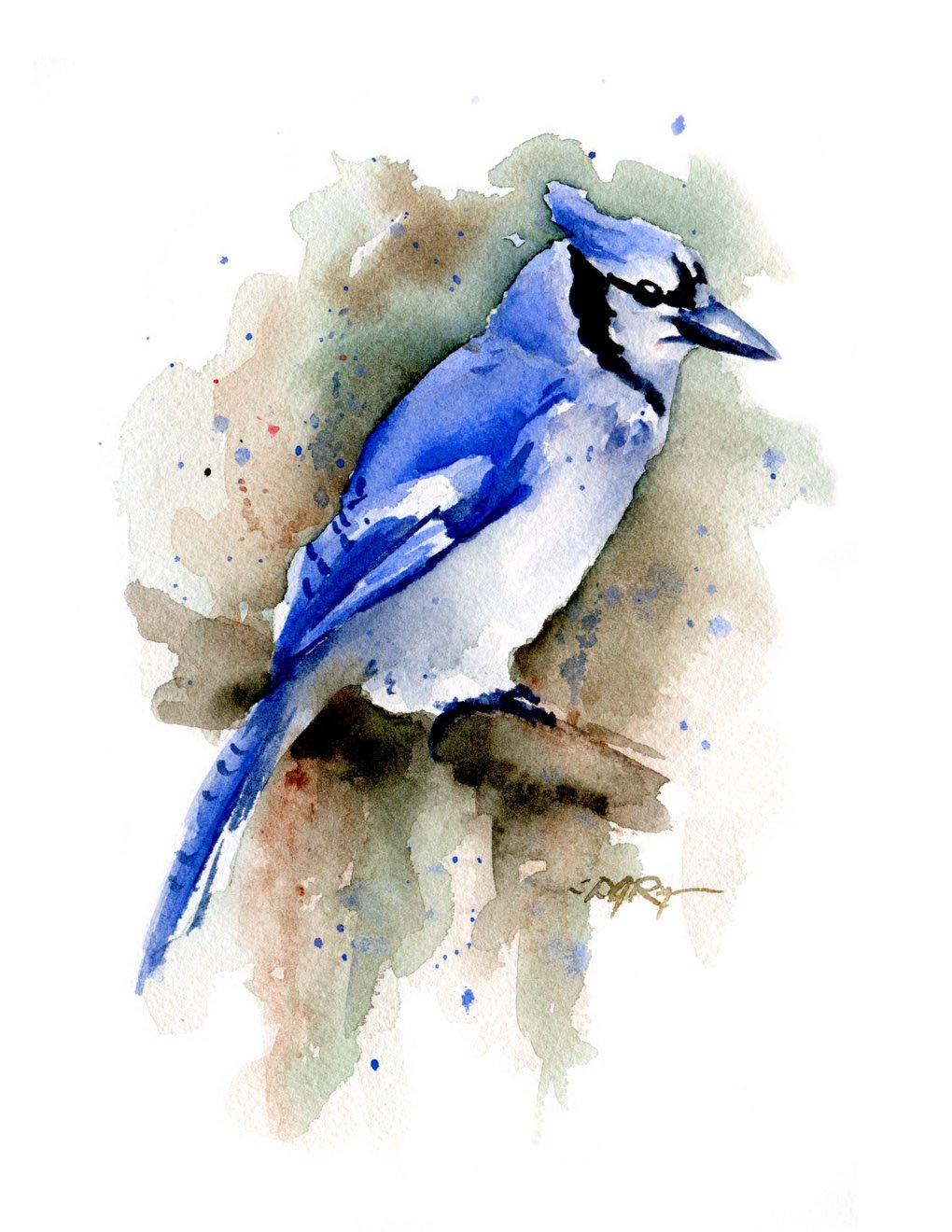 Blue Jay Watercolor Art Print by Artist DJ Rogers - Handmade Bird Painting for Home Decor, Office & Gift Ideas