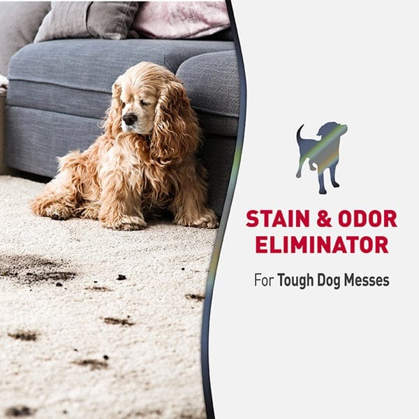 Nature's Miracle Advanced Stain & Odor Eliminator Foam for Pets - Enzyme-Powered Cleaning Solution for Carpets, Upholstery & Floors | Removes Tough Stains & Odors from Dogs & Cats | Perfect for Pet Accidents & Daily Cleaning