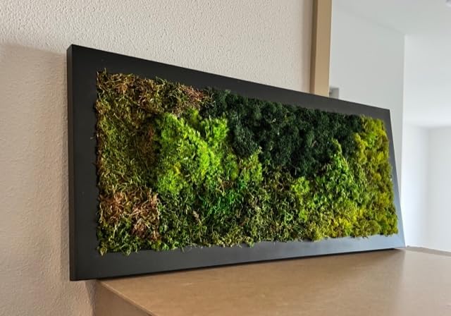 Live Preserved Moss Wall Art - Unique Custom Made Moss Art in Wooden Frame - Handmade Home & Office Decor - 31