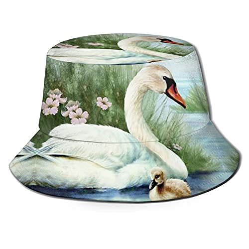Swan_a07