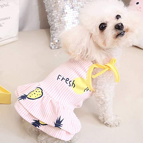 Funny Dog Bikini & Swimsuits for Small Dogs - Cute Pet Costumes for Girls & Boys - Matching Couple Outfits - Perfect for Beach, Pool, and Summer Photos