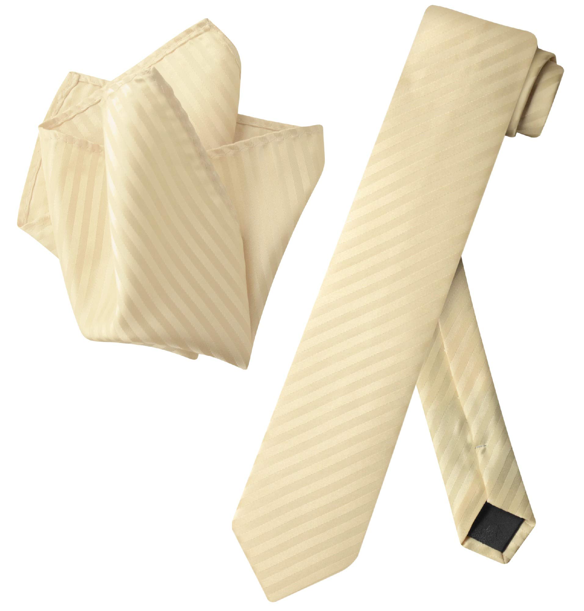 Vesuvio Napoli Skinny Necktie - 2.5