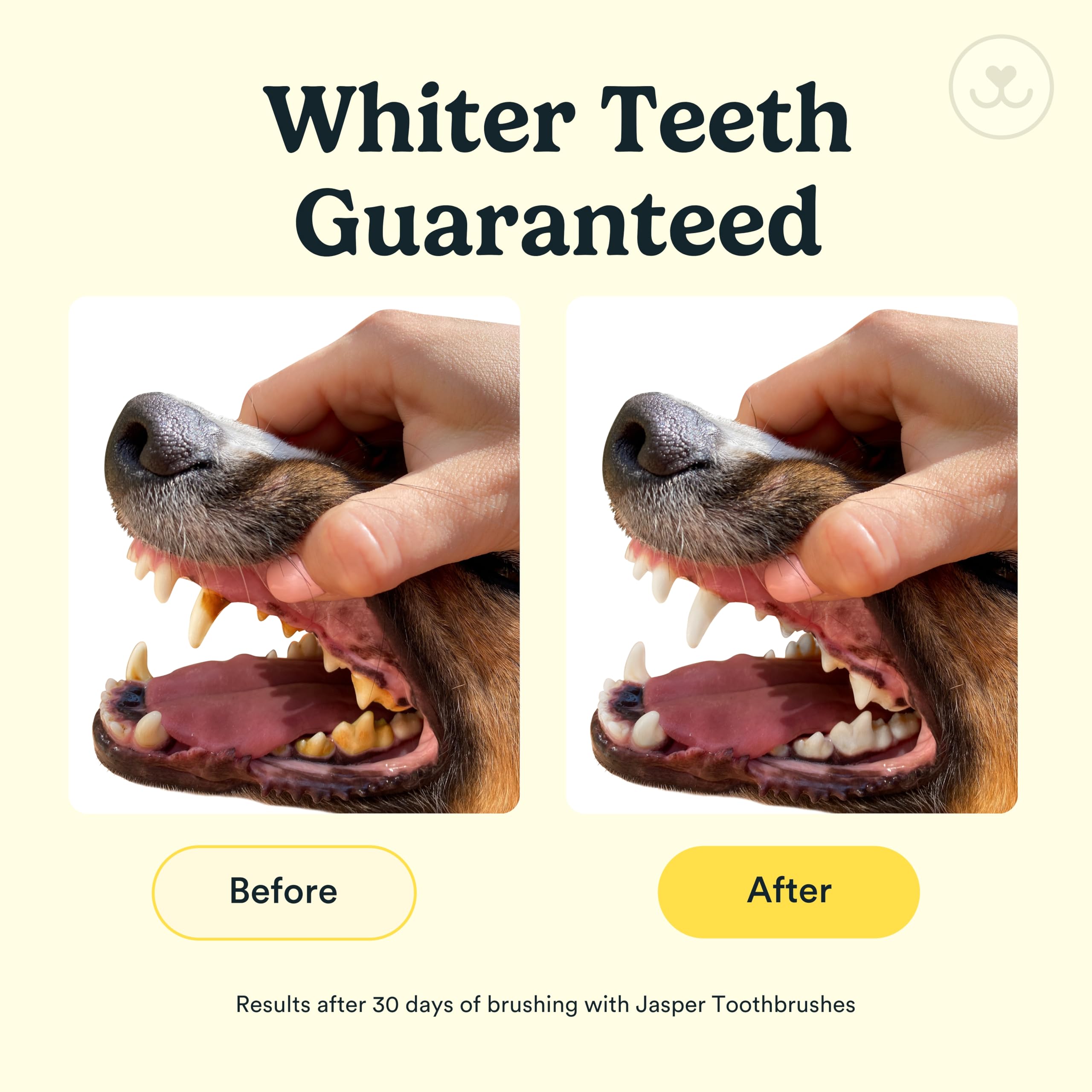 360-Degree Jasper Dog Toothbrush & Cat Toothbrush Kit - 4 Pack Pet Finger Toothbrush for Teeth Cleaning with Dog Toothpaste - Perfect for Daily Oral Care at Home or Vet Visits