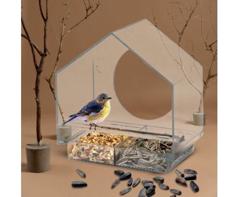 Window Bird Feeder - Clear View Bird Watching Feeder with Strong Suction Cups - Perfect for Home, Office & Garden Bird Lovers