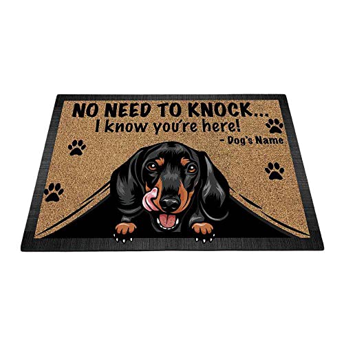 Dachshund