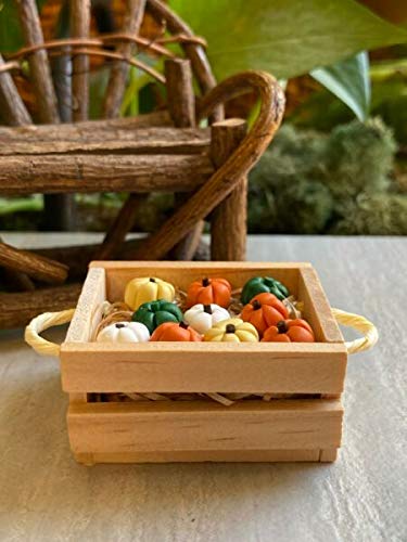 Miniature Fairy Garden Accessories - Large Wooden Crate with Mini Pumpkins for Dollhouse, Home Decor, Outdoor Garden & Yard | Perfect for Fairy Gardens, Terrariums & DIY Craft Projects