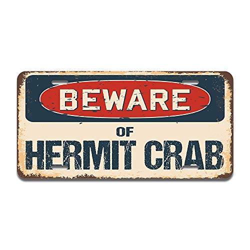 Beware of Hermit Crab