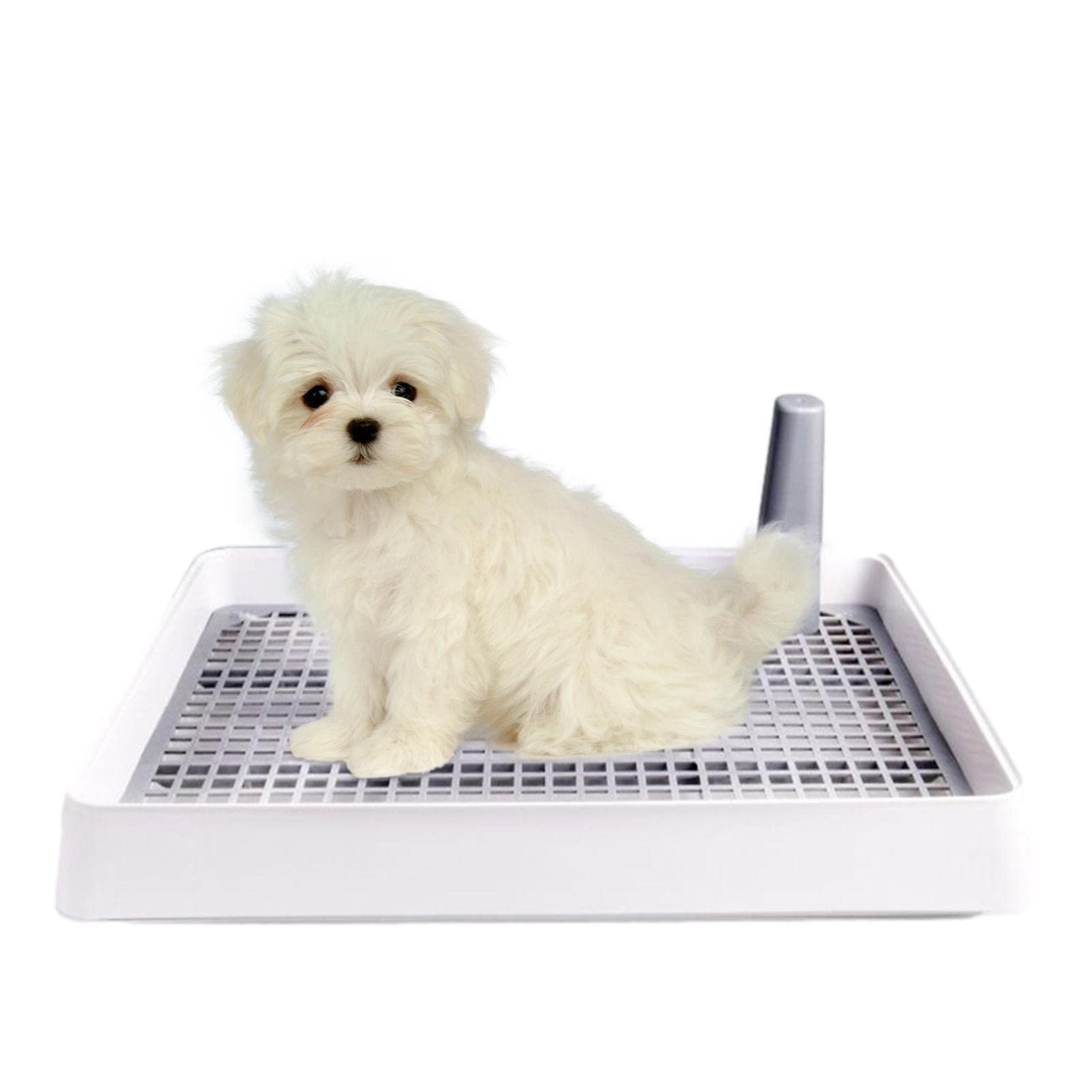 **Premium Dog Pee Pad Holder - Indoor Pet Toilet Training Mesh Tray for Small & Medium Dogs - Non-Slip Puppy Pad Holder for Floors - Perfect for Housebreaking & Apartment Living**