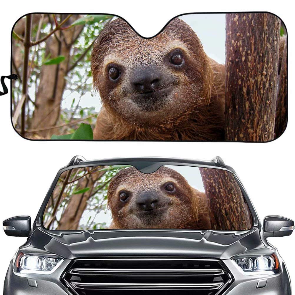 Dellukee Sloth Print Foldable Car Windshield Sun Shade - Custom Sun Visor for Heat Protection & UV Blocking - Perfect for Summer Parking & Baby Safety in Vehicle